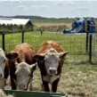 Huepfburg-Verleih Essen-Huepfburg Mieten-Essen-Wasserhuepfburg-Wasserschlacht