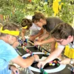 XXL Olympiade-Teambuilding-Firmenfeier Essen-Firmenfest-Sommerfest-Dominoschlange-Eventagentur