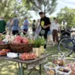 Gesunde Snack- und Getränkestation bei einer betreuten Fahrradrallye für Unternehmen in Düsseldorf mit frischem Obst, Brezeln, Süßigkeiten und eisgekühlten Getränken als Raststation während des Firmenevents