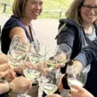 Team stößt mit Wein an bei Weinrallye Firmenevent und Sommerfest mit Weinverkostung.